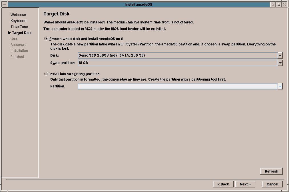 The installer choosing a disk
